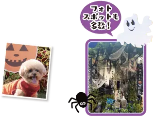 あなたのワンちゃんのかわいさをシェアしませんか？ フォトスポットも多数！